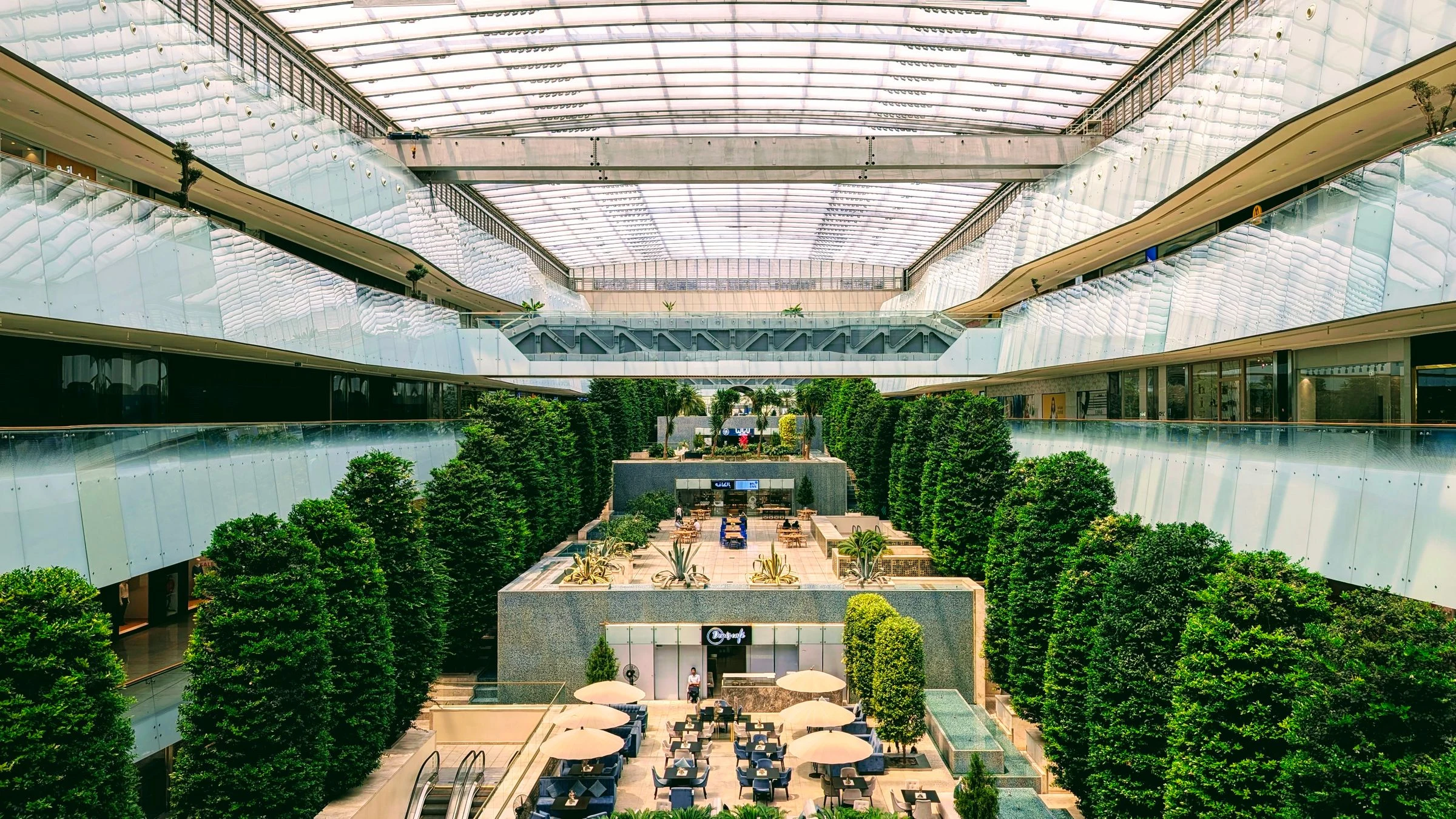 Light-filled atrium of a commercial building